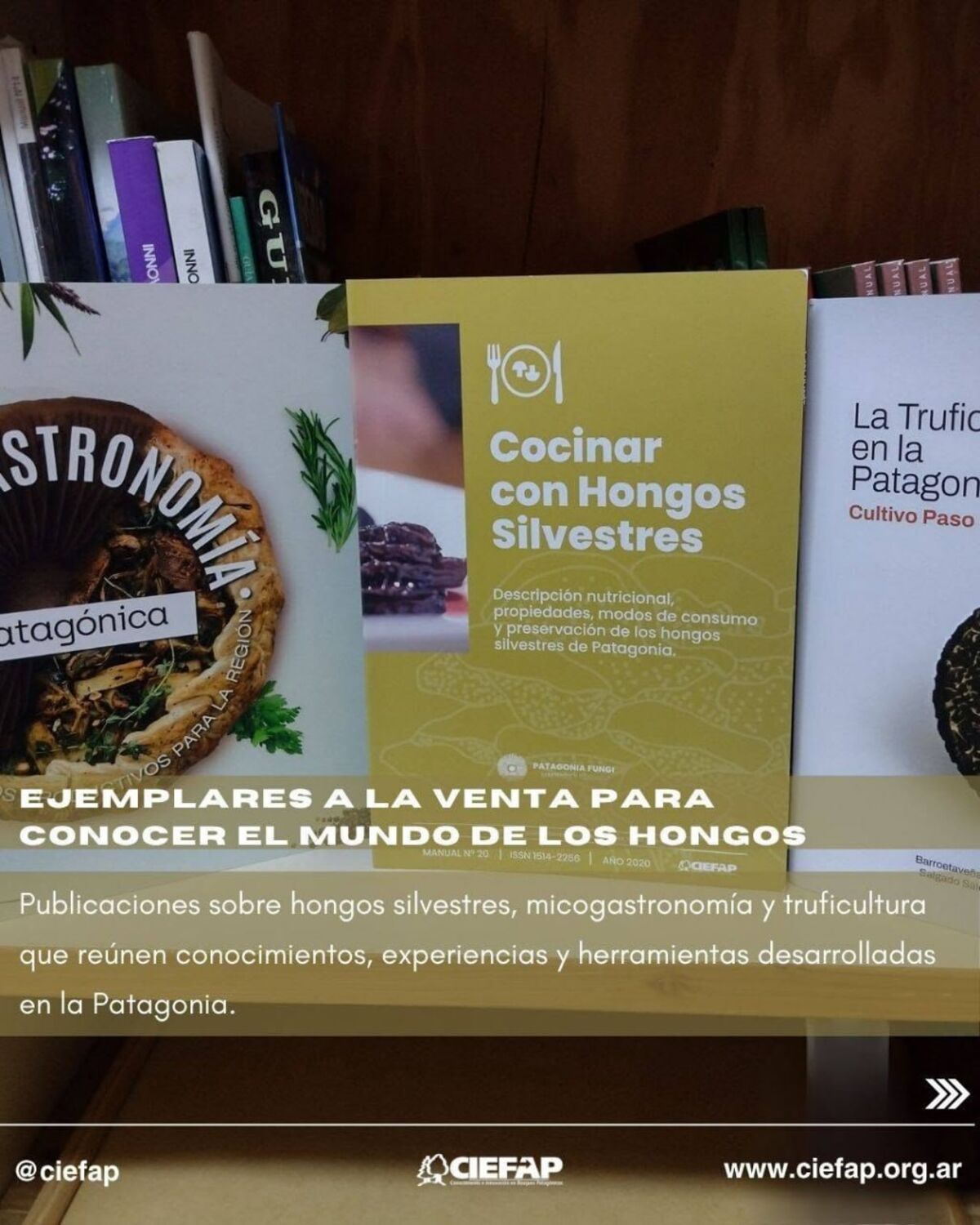 CIEFAP lanza tres libros sobre hongos patagónicos: recetas, micogastronomía y cultivo de trufas