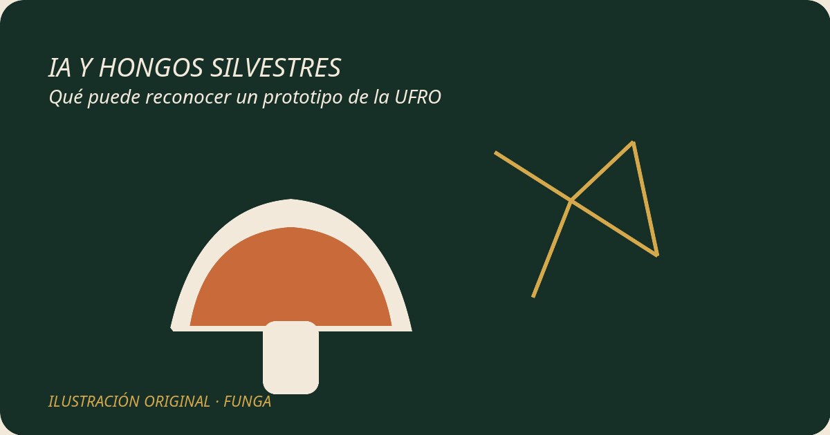 IA para reconocer hongos silvestres: qué puede hacer el prototipo de la UFRO