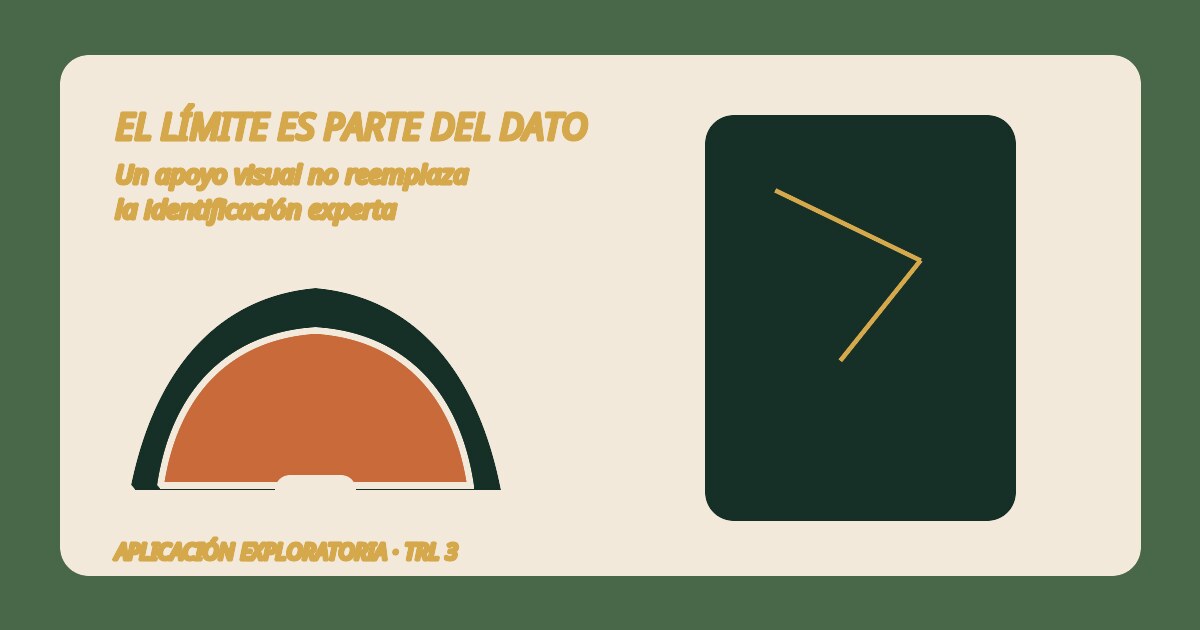 Ilustración de un prototipo de reconocimiento de hongos y sus límites de validación